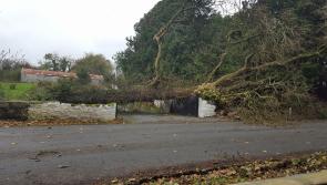 UPDATE: Hazardous driving conditions as many Longford roads blocked due to fallen trees and debris #Ophelia 