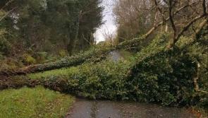 #Ophelia Update: #Longford Emergency Services dealing with fallen trees on national and regional roads