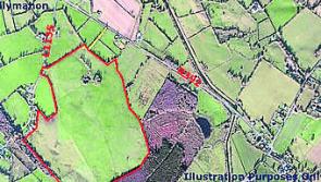 Longford farm totalling 100 acres sells for €720k at auction