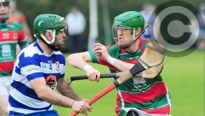 Longford senior hurling champions Wolfe Tones Mostrim no match for Navan O'Mahony's in Leinster Junior Club

