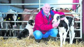 Longford dairy farmer says Brexit will impact sector locally   