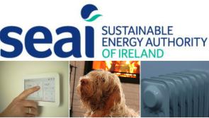 SEAI online event for county Longford businesses and community organisations