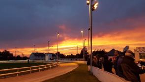 Longford Greyhound Stadium hosting appreciation evening on Bank Holiday Monday