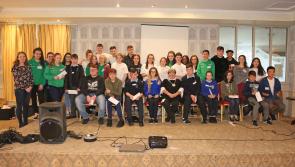 Comhairle na nÓg: looking out for Longford's youth