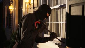 Thieves steal cash and jewellery in Moydow break-in 