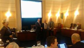 Seamus Butler elected Longford County Council Leas Cathaoirleach 