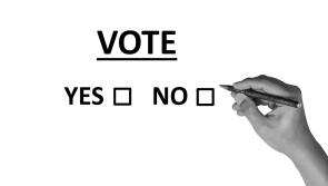 Have you registered to vote ? Up to 1,100 young people in Longford may not be on electoral register with days to deadline