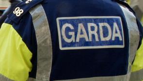 National : Gardaí seek witnesses after man stabbed in wooded area on St Stephen's Day
