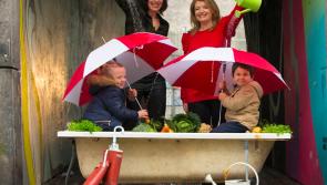 Get Longford Growing with share of €75,000 funding