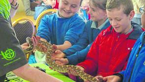 Edgeworth Science Festival a huge success