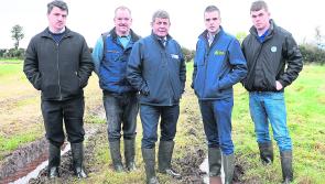 Worsening  fodder crisis in Longford and Leitrim must be addressed