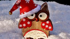 Stop here for Christmas in Longford!