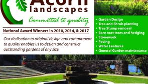 Acorn Landscapes wins prestigious landscape award