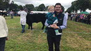 €7,000 for Longford Agricultural Shows