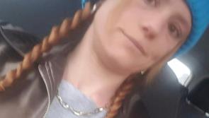 Garda&iacute; renew appeal for witnesses of Drumlish crash 