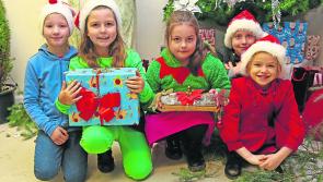 Two decades of success at Granard Area Action Group