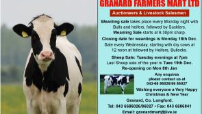Sales at Granard Farmers Mart Ltd 