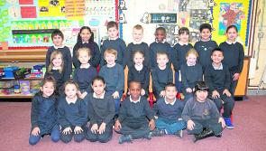 Plenty of festive cheer at Longford's St Joseph's National School 
