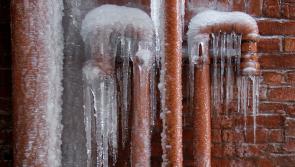 ALERT: Top tips for Irish households to avoid 'massive repair bills'  amid cold snap