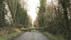 Lots of debris and some fallen trees across Longford in the wake of Storm Dylan 