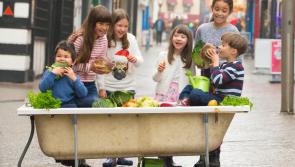 Deadline for applications for €75,000 ‘Get Ireland Growing’ Fund looming for Longford