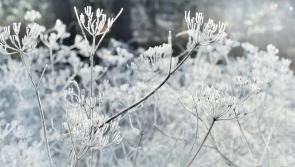 Weather: Wrap up and keep warm Longford as cold snap set to continue with freezing temperatures 