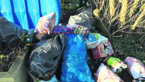 Fury over festive dumping in Ballyleague 