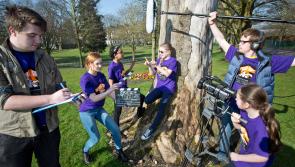 Fresh Film Festival: Is Ireland's Young Filmmaker of the year from Longford? 