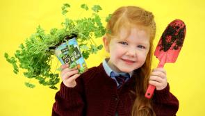 Longford schools invited to apply for free GIY packs 