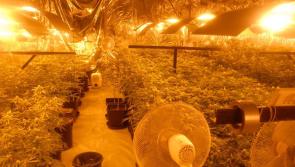 Lithuanian pair to stand trial over discovery of €360k cannabis growhouse in Co Longford 