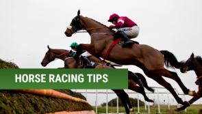 THE PUNTER'S EYE: A 33/1 Cheltenham accumulator that could make you a fortune this year