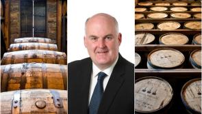 Flaherty wants whiskey storage project promoters to explore Edgeworthstown site