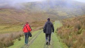 Hill farmers are concerned about recreational users not abiding by the countryside code during Covid-19