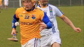 Longford hurlers battle back to beat Wicklow in terrific Kehoe Cup triumph


