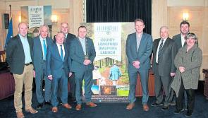 New gateway to Longford's diaspora across the world launched 