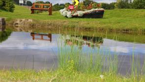 €500k upgrade for Longford town's Royal Canal 