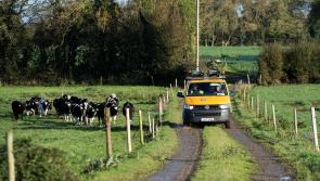 ESB Networks postpones planned outages in Co Longford 