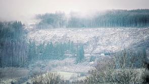 Longford farmers urged to take extra care as 'Beast from  the East' takes hold   