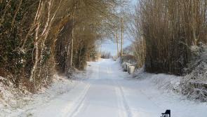 Pictures:  A winter wonderland in Abbeyshrule 