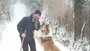 Pictures:  Longford Leader readers share their photos from around the county today