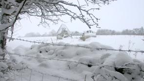 Pictures: Newcastle Wood, Ballymahon under a blanket of snow - stunning!