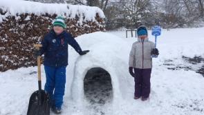 Longford igloo builders enjoy family stroll in the Abbeyshrule snow