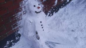 POLL: Help us choose Longford's best snowman