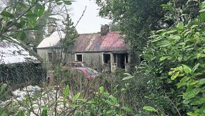 Shock as Abbeylara pensioner dies in house fire