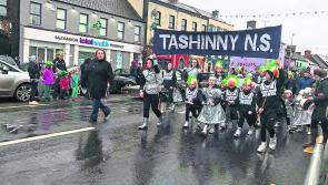 Superheroes of the Literary World the theme for Ballymahon parade