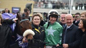Presenting Percy, owned by Longford's Philip Reynolds, among elite entries for Grade 1 John Durkan Memorial Chase at Punchestown