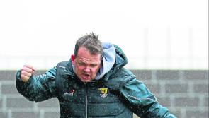 Longford Leader columnist Mattie Fox - Wexford hurlers have helped lift the hearts of the nation 