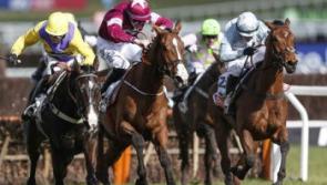 One happy BoyleSports punter pockets a cool €33,500 with €3 'Lucky 15' Cheltenham Festival bet