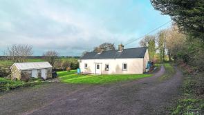 86% of houses sold at auction