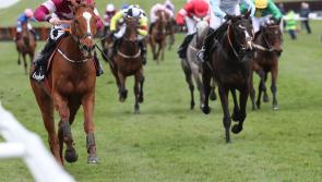Longford owner Philip Reynolds in winners enclosure again as Irish trainers dominate at 2018 Cheltenham Festival